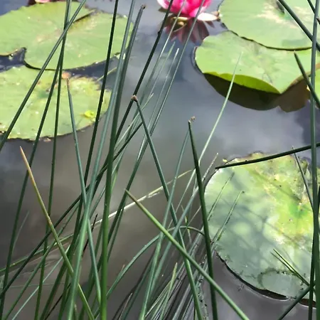 公寓 Machowino W Dolinie Nad Stawem