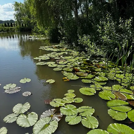 Machowino W Dolinie Nad Stawem *