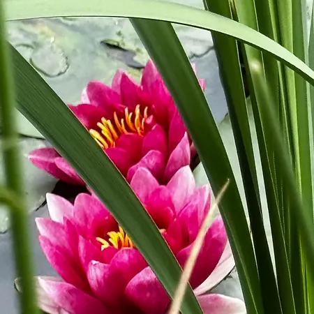 公寓 Machowino W Dolinie Nad Stawem 乌斯特卡