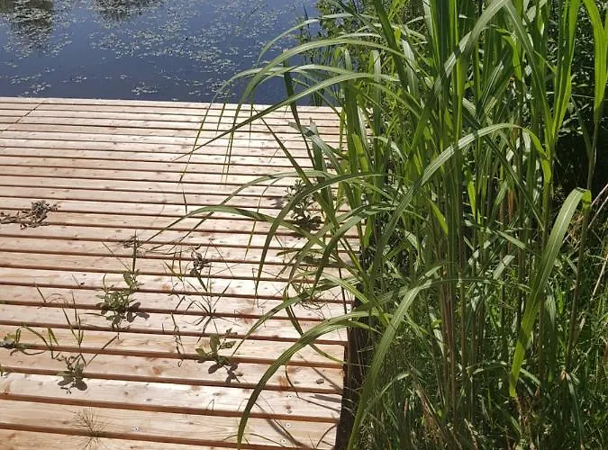 Machowino W Dolinie Nad Stawem Ustka