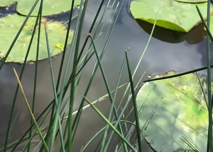 Appartement Machowino W Dolinie Nad Stawem