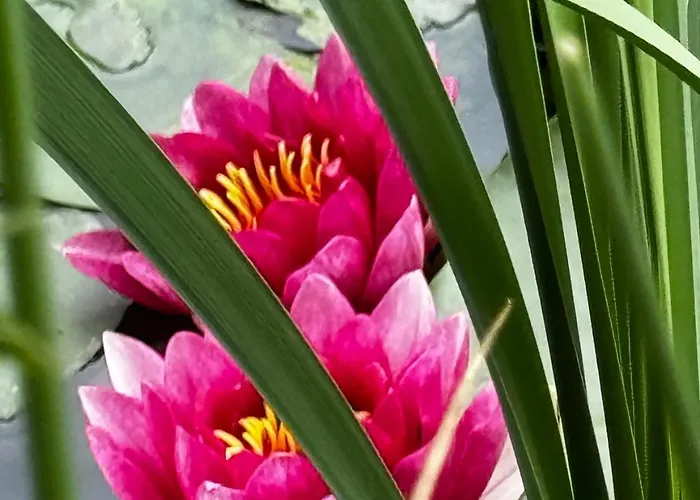 Appartement Machowino W Dolinie Nad Stawem Ustka