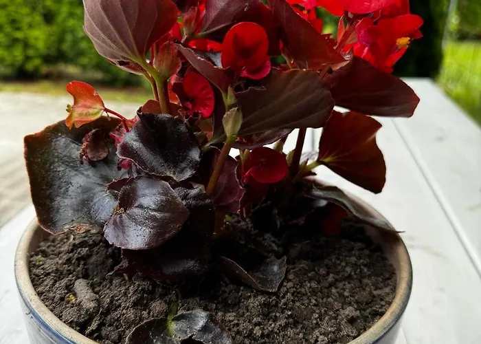 Machowino W Dolinie Nad Stawem Ustka