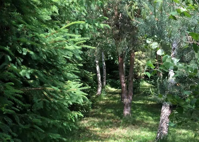 Appartement Machowino W Dolinie Nad Stawem *